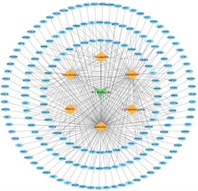 Network pharmacology- and molecular docking-based analyses of the antihypertensive mechanism of Ilex kudingcha